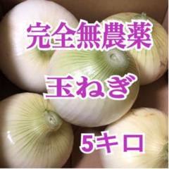 玉ねぎ 無農薬 5キロ 愛媛県産