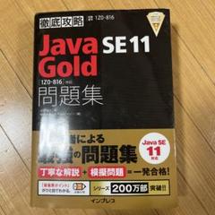 徹底攻略Java SE 11 Gold問題集[1Z0-816]対応 | 志賀 澄人, 株式