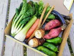 長野県安曇野 新鮮野菜詰め合わせ コンパクト