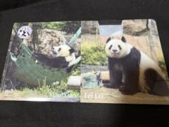 上野動物園 パンダ リーリー シンシン クリアファイル レア レア 未開封 リーリー シンシン 2枚セット A4＆A5インデックス