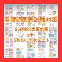 看護師国家試験対策 850枚の大量付箋+9枚のまとめノート