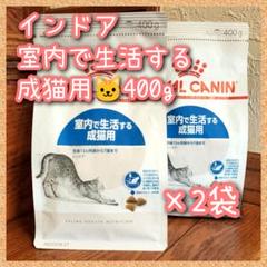 ロイヤルカナン猫用 インドア 室内で生活する成猫用~7歳まで