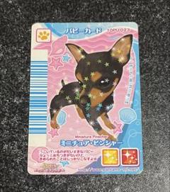 ばら売り可 ワンタメ パピーカード ゴールド レア ほっかいどういぬ キラ ばら売り可 ワンタメ パピーカード ゴールド レア ほっかいどう
