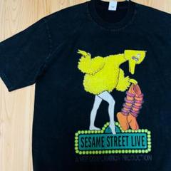 ビッグバード ケミカルウォッシュ リプリント Tシャツ 半袖 メンズ 新品
