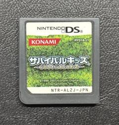 サバイバルキッズ Lost in Blue 2