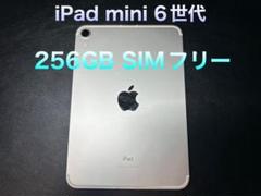 iPad mini 第6世代 Wi-Fi+Cellular 256GB