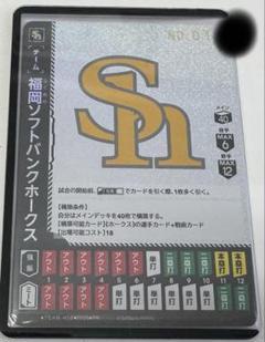 福岡ソフトバンクホークス ドリームオーダー チームカード シリアル 十番台 福岡ソフトバンクホークス ドリームオーダー チームカード