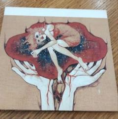 ACO / absolute ego / 日本女性R＆B名盤