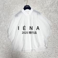 25年 完売品 極上美品IENA イエナ リネン混エリツキブラウス 25年 完売品 極上美品IENA イエナ リネン混エリツキブラウス