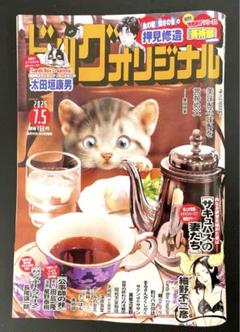 ビッグコミックオリジナル 2025年7月5日号　No.1534 13