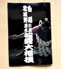 白鵬引退宮城野襲名記念 断髪引退記念品相撲壁掛け前掛け