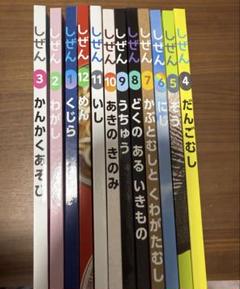 フレーベル館 キンダーブックしぜん　2022.4〜2023.3 12冊　送料込み しぜん キンダーブック