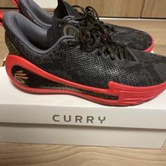 curry12 27.5cm