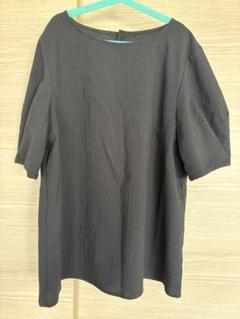 DHCドライタッチ体型カバーブラウス Lサイズ