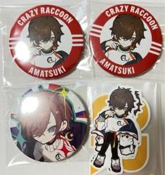 天月 缶バッジ(CRフェス)セット crazy raccoon CRフェス 2024 缶バッジくじ 天月 ホロ - メルカリ