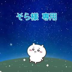 そら様 そら様 専用】うちわ 476 549 - メルカリ