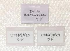 SEVENTEEN HARE トレカ メッセージ セット ウジ