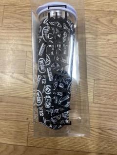 新品正規品【V12】氷嚢　氷のう