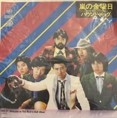 ハウンドドッグ 他 邦楽レコード セット 2025年最新】HOUND DOG ROCKSの人気アイテム - メルカリ