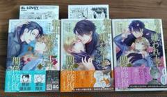 転生しても嫌われ王子だったので関係修復頑張ります。　１〜３　特典付き