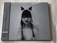 【限定写真集】デヴィッド・シルヴィアン　ポラロイド写真集 ファッション 通販 David Sylvian 限定ポラロイド写真集