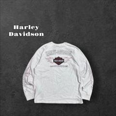Harley-Davidson ハーレーダビッドソン ロンT フレイム 刺繍