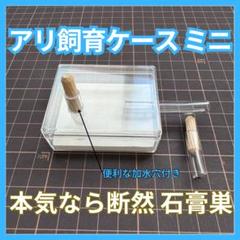 2025年最新】標本箱 大型の人気アイテム - メルカリ