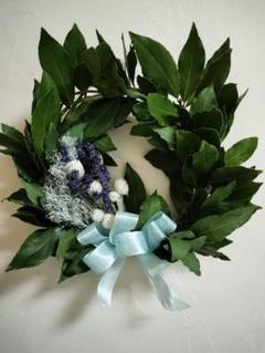 大特価〜月桂樹と針葉樹のシンプルなグリーンクリスマスリース43cm 楽天市場】針葉樹 リースの通販
