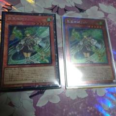 遊戯王 風霊媒師ウィン エクストラシークレット コレクターズ