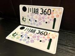 最新コレックション m34196639689_1.jpg?1713019824 アクセサリー