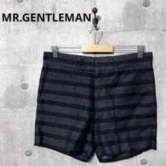 MR.GENTLEMAN ミスタージェントルマン ボーダーショートパンツ M