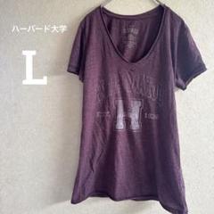 ハーバード大学 ロゴ Tシャツ バーガンディ 半袖 Vネック 紫 L ロゴT