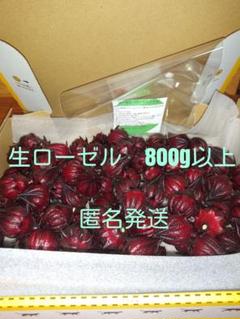 生ローゼル(赤) 500g 農薬不使用 コンパクト便