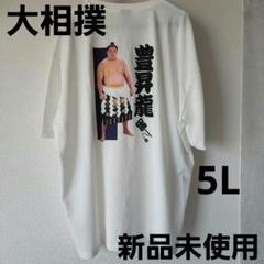 【未開封品】大の里横綱昇進・優勝Tシャツ （令和7年五月場所） Mサイズ 相撲増刊 大の里 横綱昇進記念号 2025年 07月号:HonyaClub