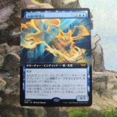 2025年最新】好奇心 mtgの人気アイテム - メルカリ