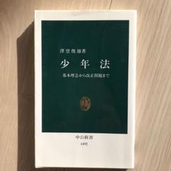 少年法 : 基本理念から改正問題まで
