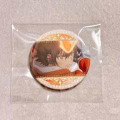 家庭教師ヒットマンREBORN! プリロール 限定 缶バッジ 沢田綱吉 9