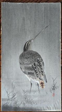 真作、小原古邨「雨中の田鷸」本物木版画