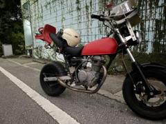 2025年最新】風防 エイプの人気アイテム - メルカリ