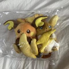 磁石でくっつくペアマスコット にたものどうし ライチュウ