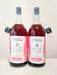 優光泉 梅味 レギュラーボトル 1200ml 2本セット 新品未使用 優光泉 梅味 スタンダード味 1200ml×2本 - メルカリ