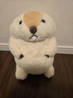 ≪2月の新商品≫マーモットのもっとっと-NEW ITEM！｜アミューズ