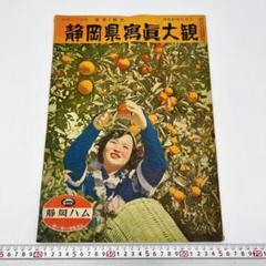 静岡県写真展大観 昭和 静岡県 企業 1 資料 歴史 広告 チラシ ホンダ 静岡県写真展大観 昭和 静岡県 企業 1 資料 歴史 広告 チラシ