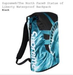 Supreme The North Face Statue of Liberty