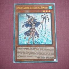 遊戯王　勇者　アラメシアの儀　聖殿の水遣い　レリーフ　シークレット　シク 遊戯王 高レアリティ 聖殿の水遣い レリ アラメシアの儀 シク