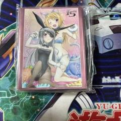ChaosTCG祭 スリーブ＆ラバーマットセット IS シャルロット＆ラウラ ChaosTCG祭 スリーブ＆ラバーマットセット IS シャルロット