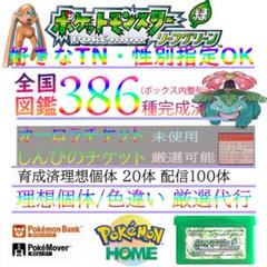 ポケモン リーフグリーン やりこみ