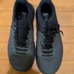 2025年最新】UNDER ARMOUR トレーニングシューズ 27cmの人気