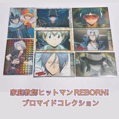 家庭教師ヒットマンREBORN! ブロマイドコレクション レア SP