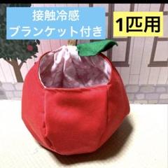 モモンガ 果物ポーチS 真っ赤 夏用 接触冷感ブランケット付き 1